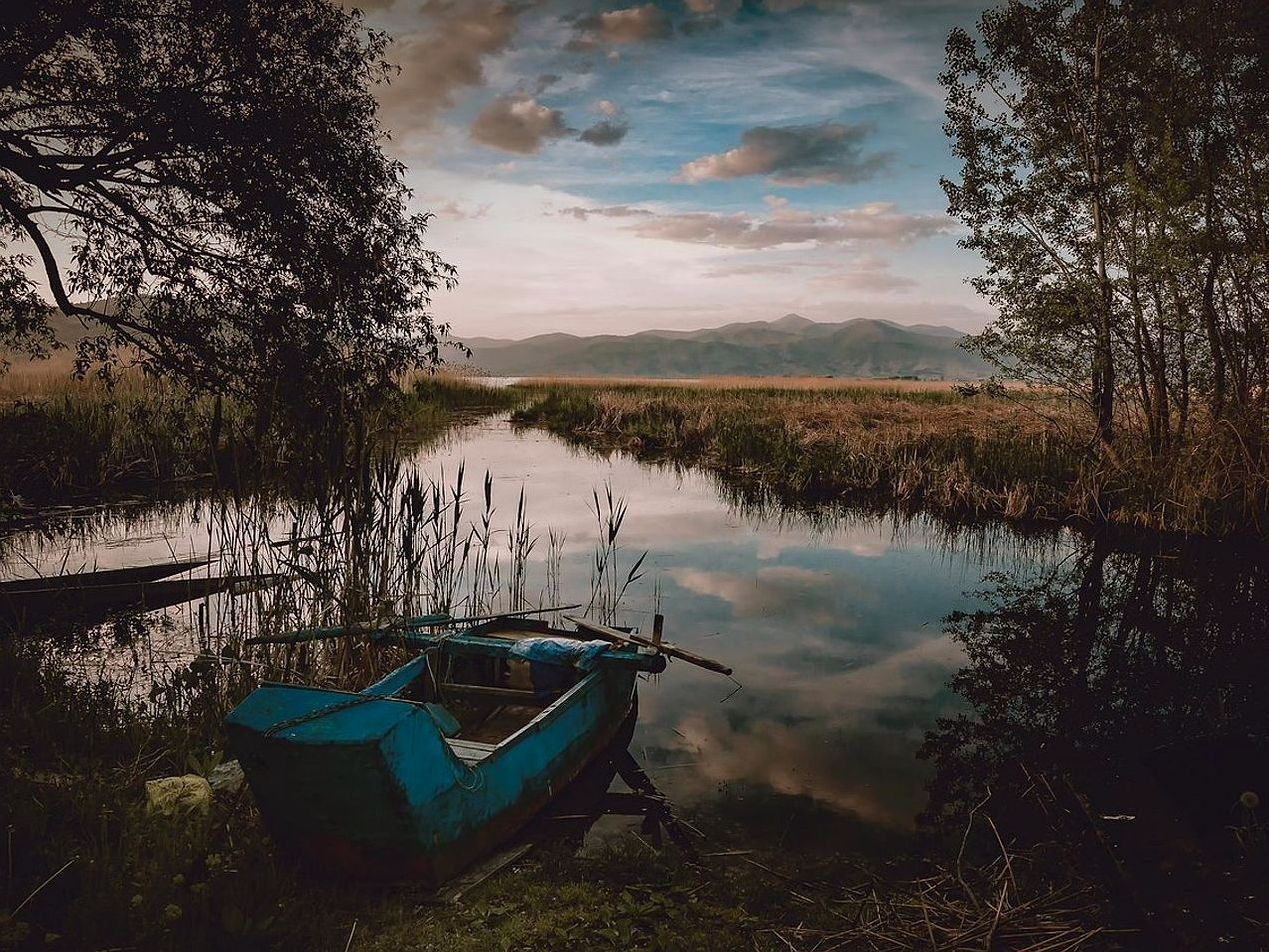 Wybór sygnaturowy